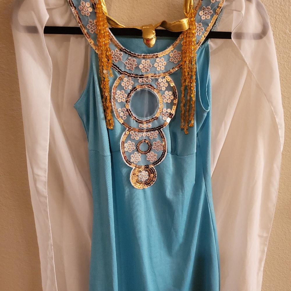 Princess of the Nile Size Small Dress